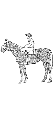 horse illustration